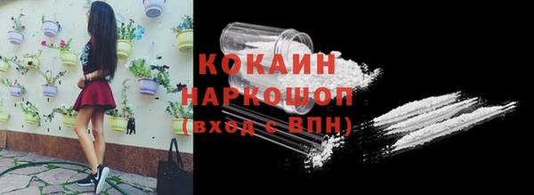 шишки Михайловск