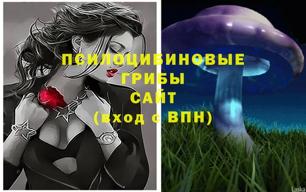экстази Михайлов