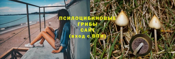 шишки Михайловск