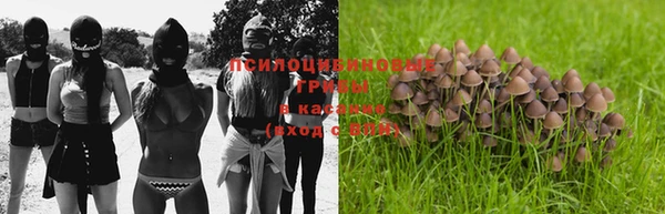 ГАЛЛЮЦИНОГЕННЫЕ ГРИБЫ Надым