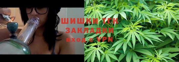 индика Зарайск